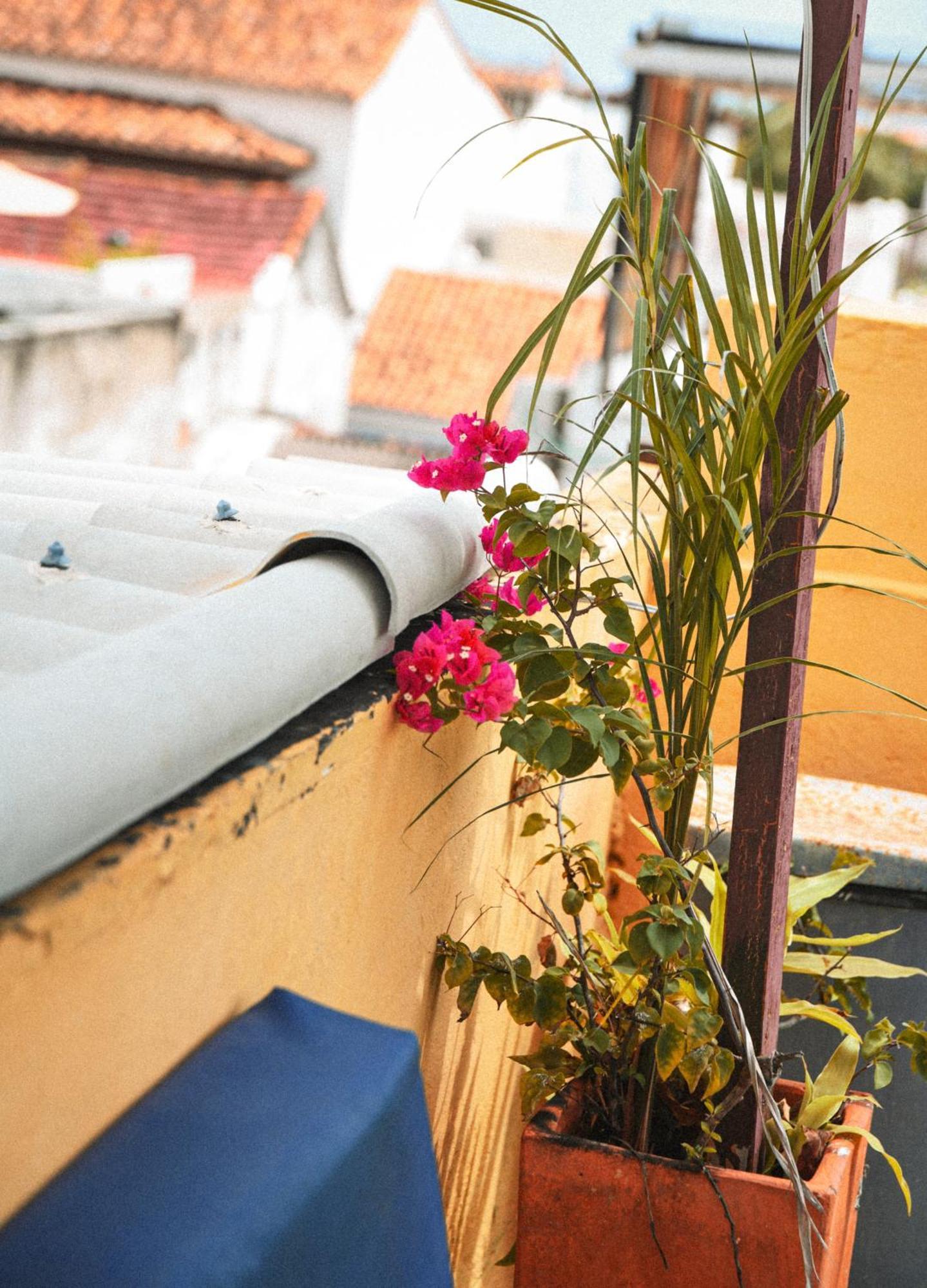Casa De La Cruz Hotell Cartagena Exteriör bild